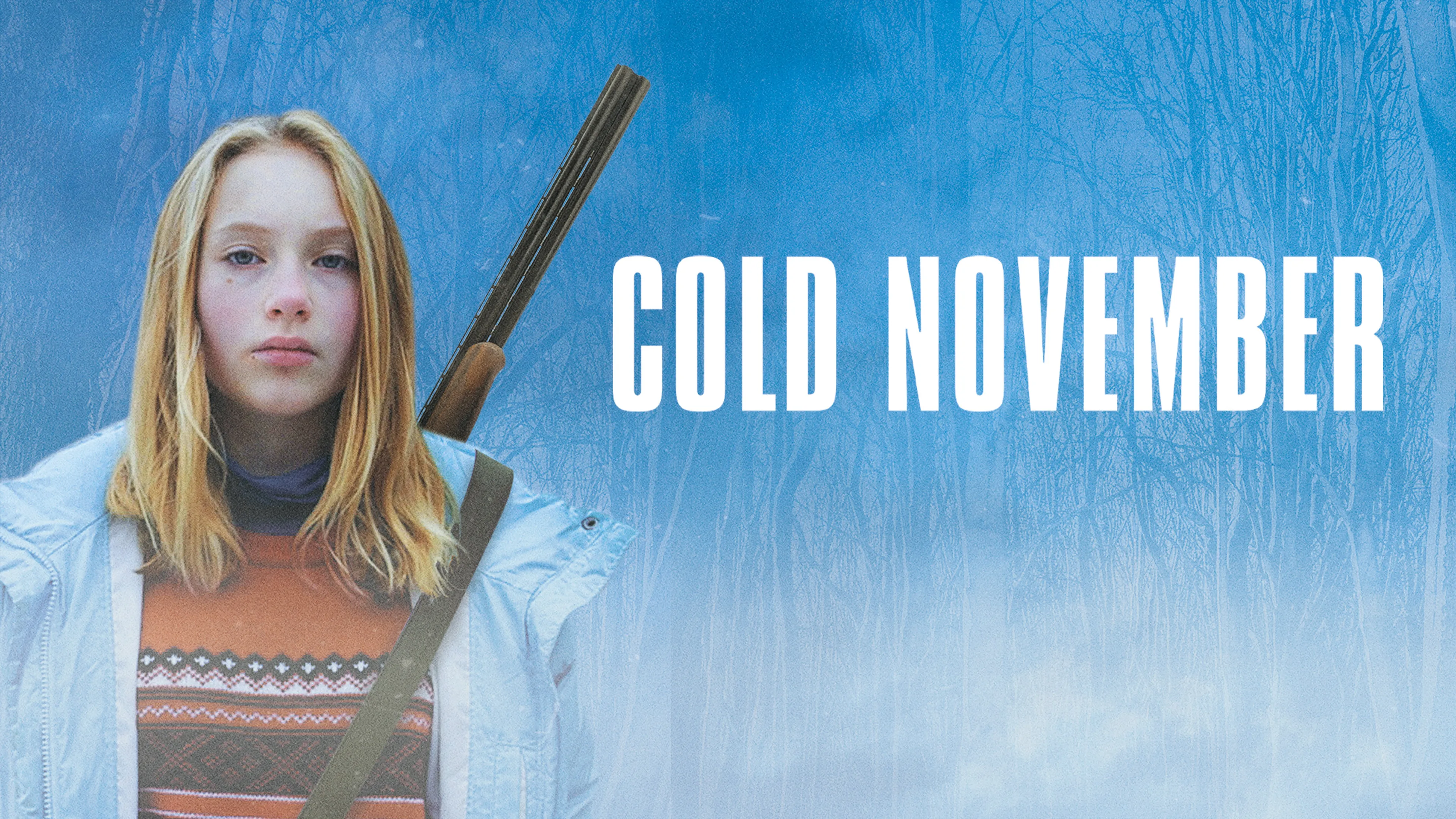 Cold November poster